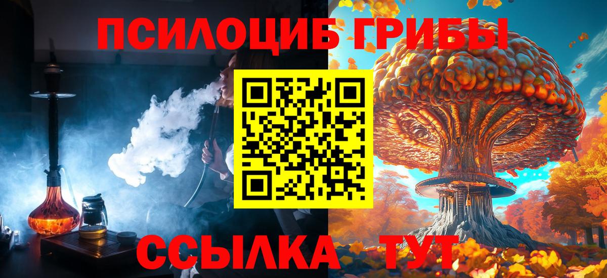 Выборг  Галлюциногенные грибы Cubensis  Вход с VPN 