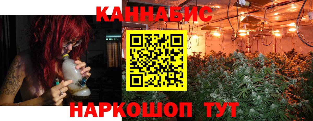 Шишки марихуана конопля  Вход с VPN  Бошки Шишки сатива  МАРИХУАНА семена  Выборг 